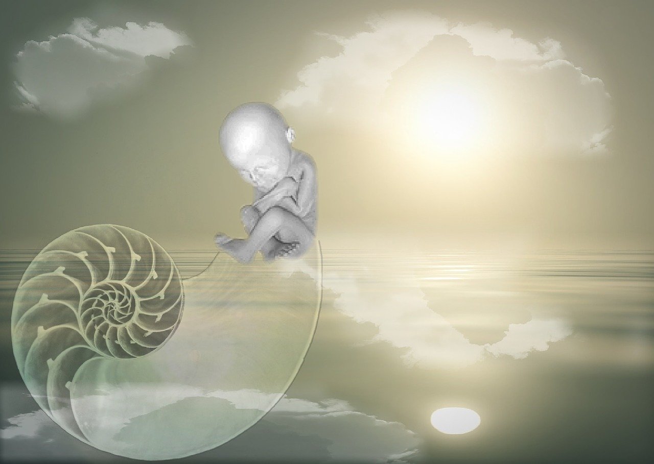 动漫世界的温暖拥抱，手机壁纸中的温馨瞬间