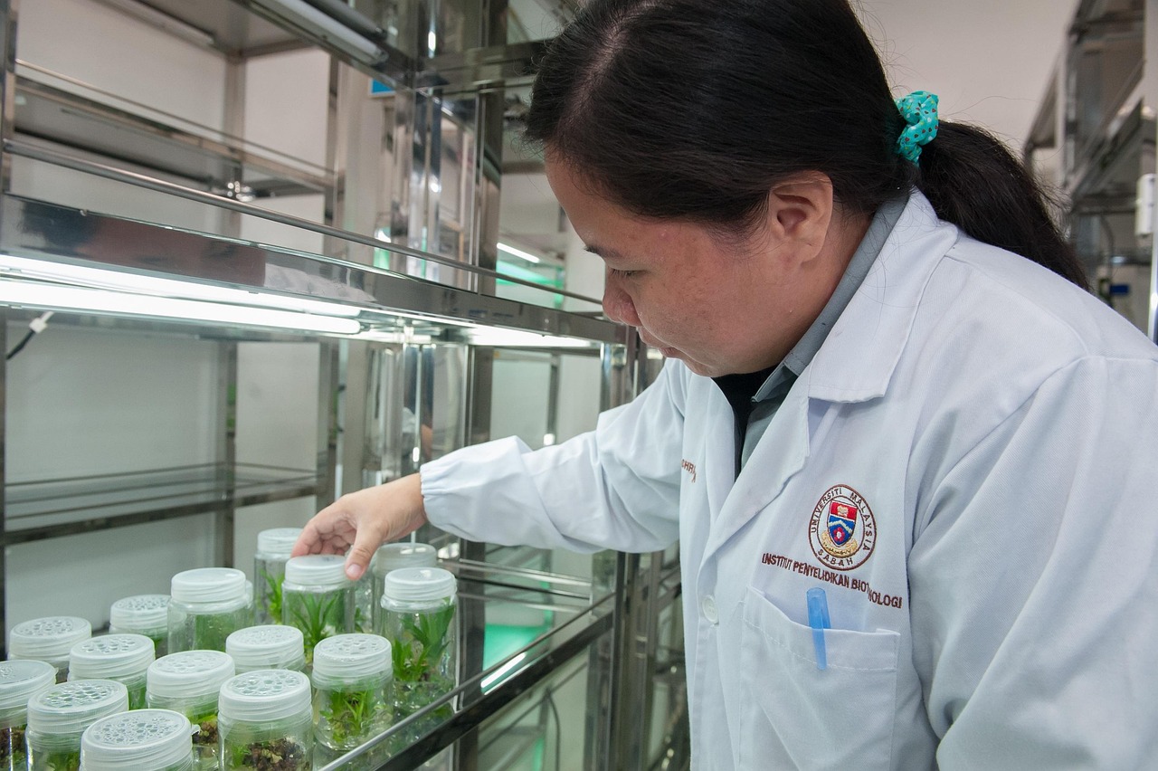 深圳手机维修培训班学校，技术培训的新天地